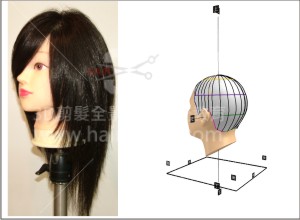 B1-1縱向髮片長髮