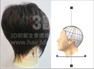 B5-1縱向短髮
